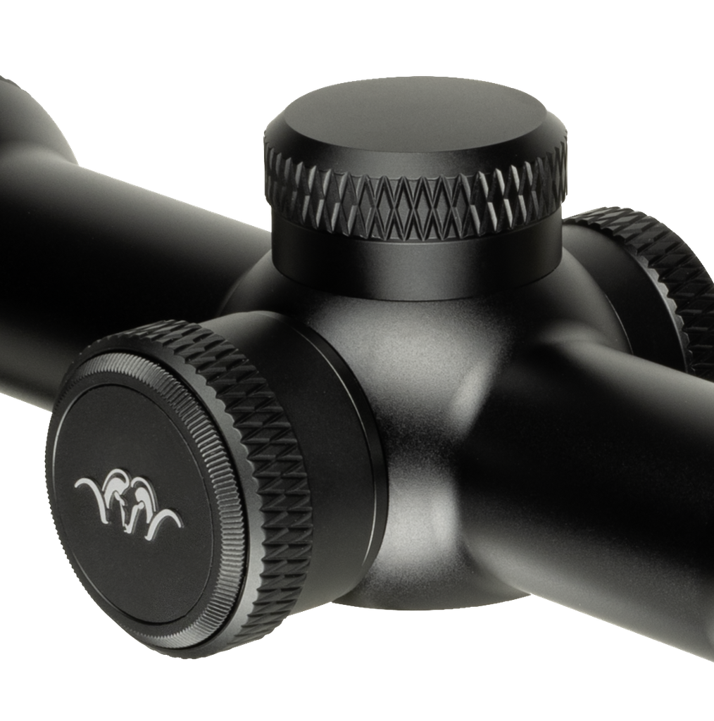 Visor Blaser B2 2-10X50 