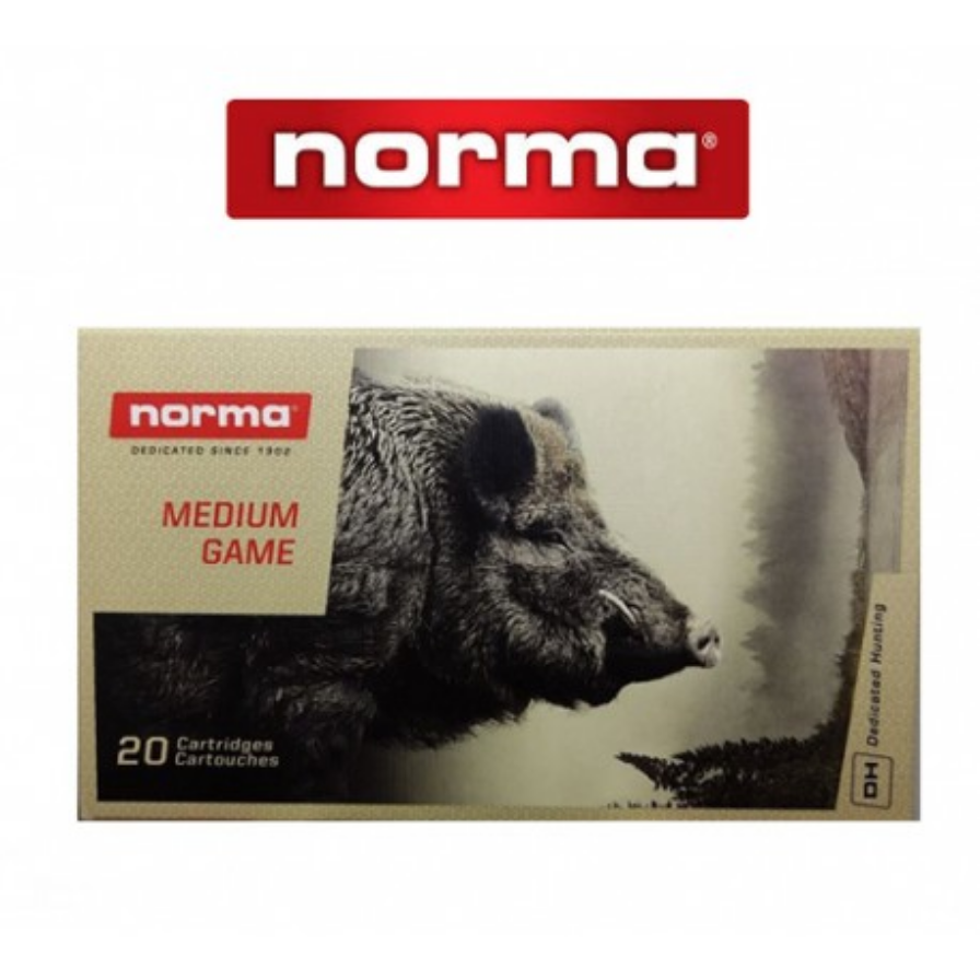 NORMA 3006 PUNTA PLASTICO 180G