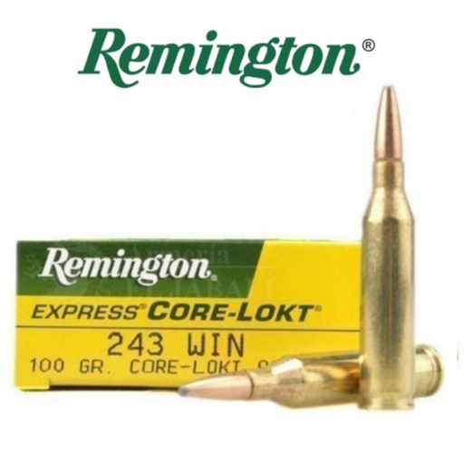 [07160000] REMINGTON 243 WIN CORE LOKT 100G 