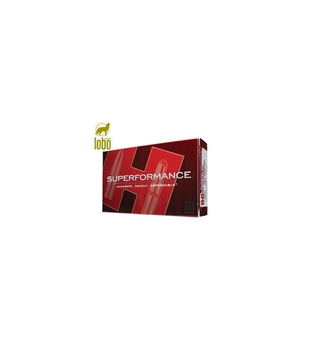[07160010] HORNADY 243 95G SUPERFORMANCE SST